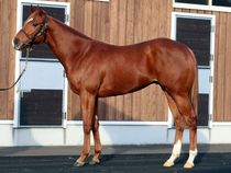 ����å��ǳ��������ɽ�����ޤ�