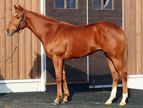 ����å��ǳ��������ɽ�����ޤ�