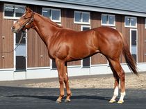 ����å��ǳ��������ɽ�����ޤ�