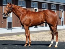 ����å��ǳ��������ɽ�����ޤ�