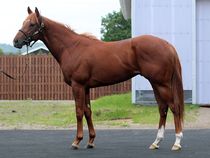 ����å��ǳ��������ɽ�����ޤ�