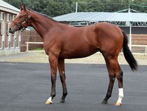 ����å��ǳ��������ɽ�����ޤ�