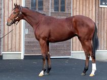 ����å��ǳ��������ɽ�����ޤ�