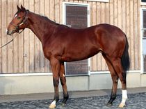 ����å��ǳ��������ɽ�����ޤ�