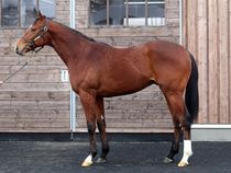 ����å��ǳ��������ɽ�����ޤ�