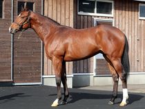 ����å��ǳ��������ɽ�����ޤ�