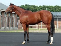 ����å��ǳ��������ɽ�����ޤ�