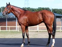 ����å��ǳ��������ɽ�����ޤ�