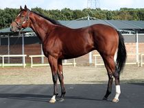 ����å��ǳ��������ɽ�����ޤ�