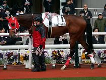 ����å��ǳ��������ɽ�����ޤ�