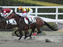 ����å��ǳ��������ɽ�����ޤ�