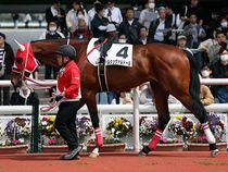 ����å��ǳ��������ɽ�����ޤ�