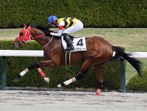 ����å��ǳ��������ɽ�����ޤ�