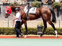 ����å��ǳ��������ɽ�����ޤ�