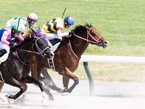 ����å��ǳ��������ɽ�����ޤ�