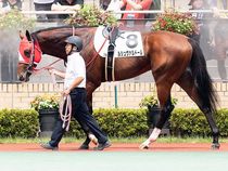 ����å��ǳ��������ɽ�����ޤ�