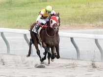 ����å��ǳ��������ɽ�����ޤ�