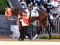 ����å��ǳ��������ɽ�����ޤ�