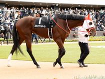 ����å��ǳ��������ɽ�����ޤ�