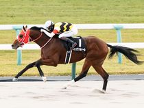 ����å��ǳ��������ɽ�����ޤ�