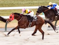 ����å��ǳ��������ɽ�����ޤ�