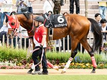 ����å��ǳ��������ɽ�����ޤ�