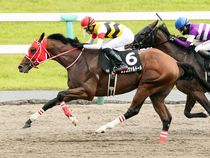 ����å��ǳ��������ɽ�����ޤ�