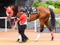 ����å��ǳ��������ɽ�����ޤ�