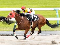 ����å��ǳ��������ɽ�����ޤ�