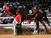 ����å��ǳ��������ɽ�����ޤ�