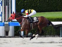 ����å��ǳ��������ɽ�����ޤ�