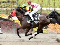 ����å��ǳ��������ɽ�����ޤ�