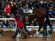 ����å��ǳ��������ɽ�����ޤ�