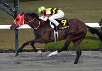 ����å��ǳ��������ɽ�����ޤ�