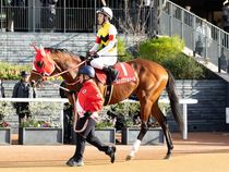 ����å��ǳ��������ɽ�����ޤ�