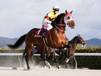 ����å��ǳ��������ɽ�����ޤ�