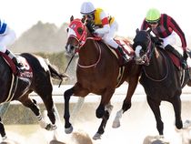 ����å��ǳ��������ɽ�����ޤ�