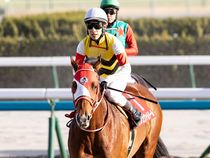 ����å��ǳ��������ɽ�����ޤ�