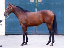 ����å��ǳ��������ɽ�����ޤ�