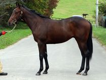 ����å��ǳ��������ɽ�����ޤ�