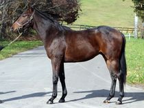 ����å��ǳ��������ɽ�����ޤ�