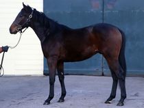 ����å��ǳ��������ɽ�����ޤ�