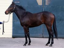 ����å��ǳ��������ɽ�����ޤ�