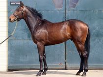 ����å��ǳ��������ɽ�����ޤ�