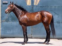 ����å��ǳ��������ɽ�����ޤ�