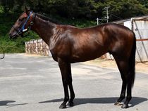 ����å��ǳ��������ɽ�����ޤ�