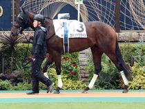 ����å��ǳ��������ɽ�����ޤ�