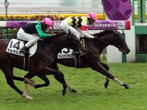 ����å��ǳ��������ɽ�����ޤ�