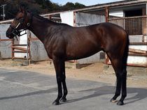 ����å��ǳ��������ɽ�����ޤ�