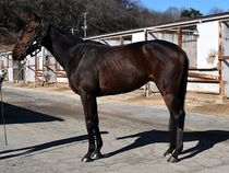 ����å��ǳ��������ɽ�����ޤ�